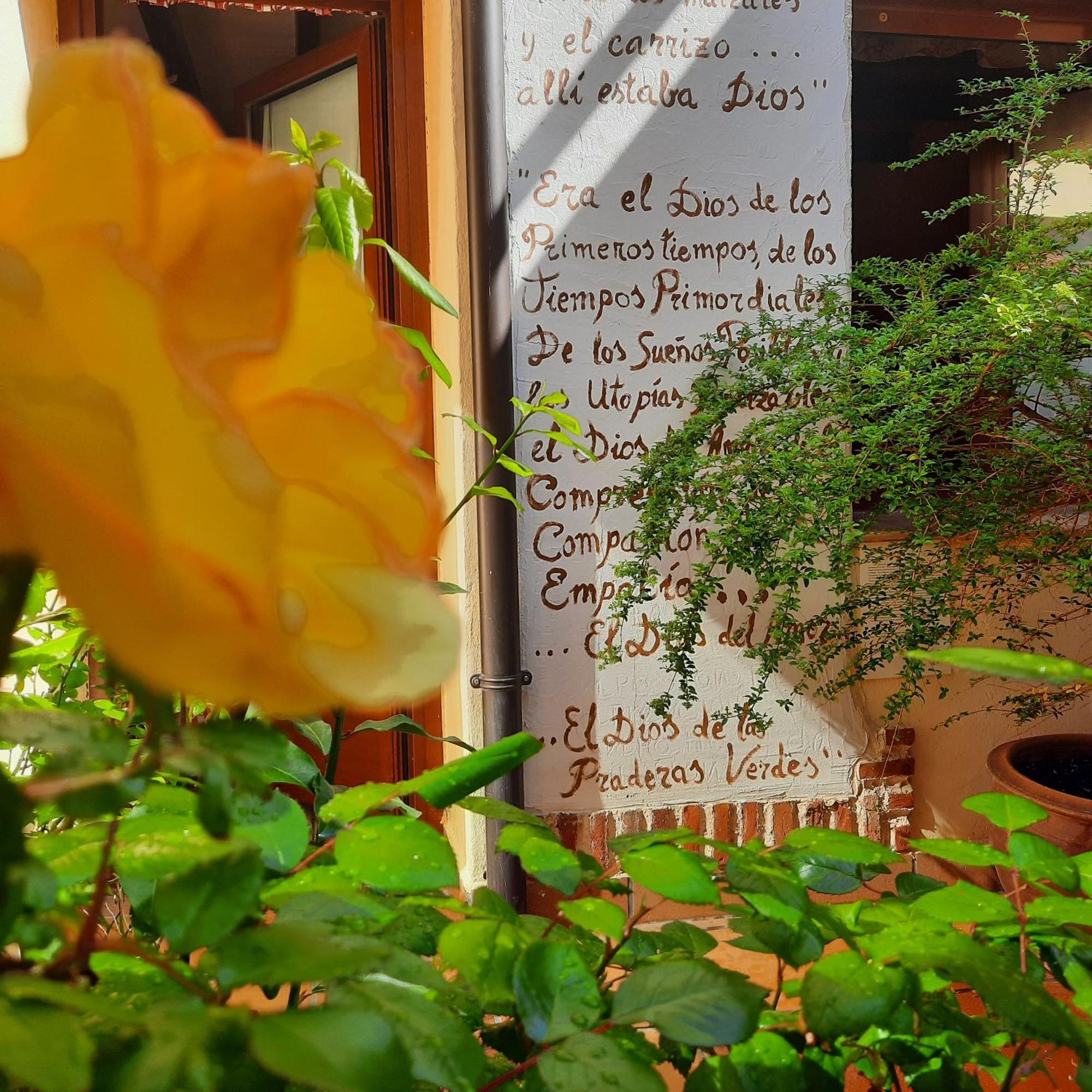 Beautiful Alamedas - Una Casa Rural Con Una Historia Unica Castronuno Exterior foto