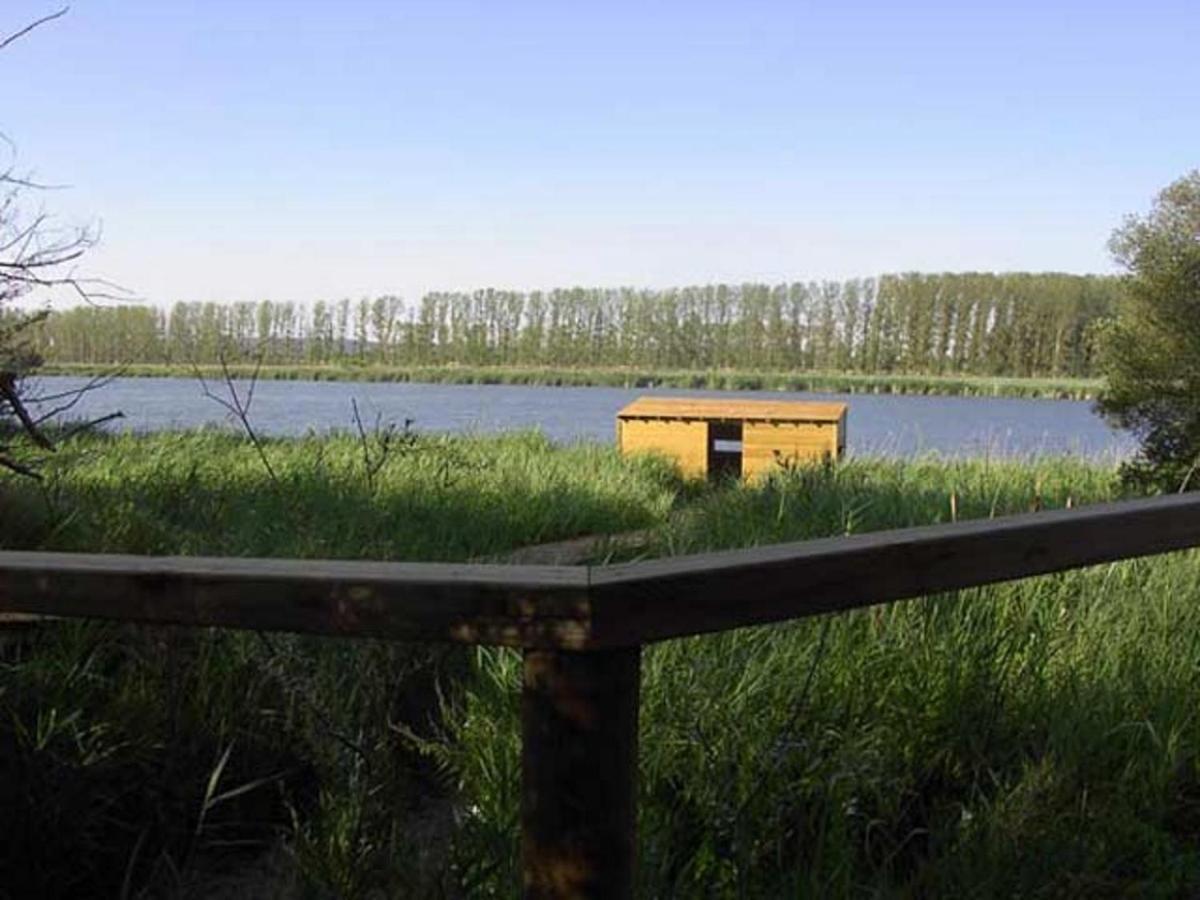 Beautiful Alamedas - Una Casa Rural Con Una Historia Unica Castronuno Exterior foto