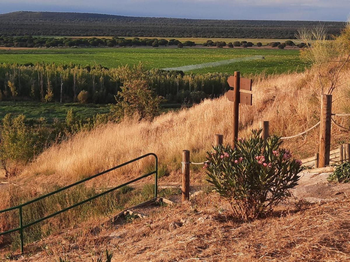Beautiful Alamedas - Una Casa Rural Con Una Historia Unica Castronuno Exterior foto